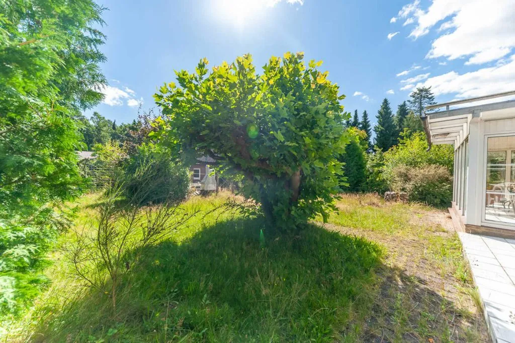 Immobilienangebot - Handeloh - Grundstücke - Handeloh - Nordheide- Leben, wo andere Urlaub machen