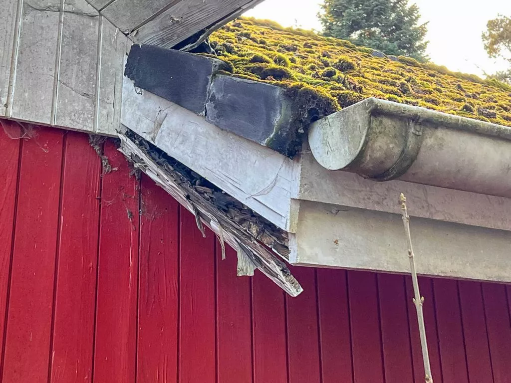 Immobilienangebot - Buchholz in der Nordheide - Grundstücke - Holm Seppensen - Grundstück mit Altbestand zur Neubebauung