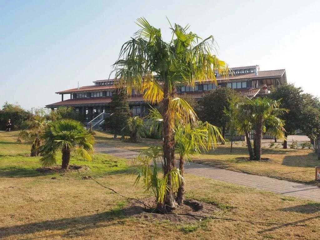 Immobilienangebot - Hohenkirchen / Hohen Wieschendorf - Alle - Hohen- Wieschendorf -Traumhaft gelegenes Apartment mit Terrasse & Garten am Ostsee-Golfplatz -