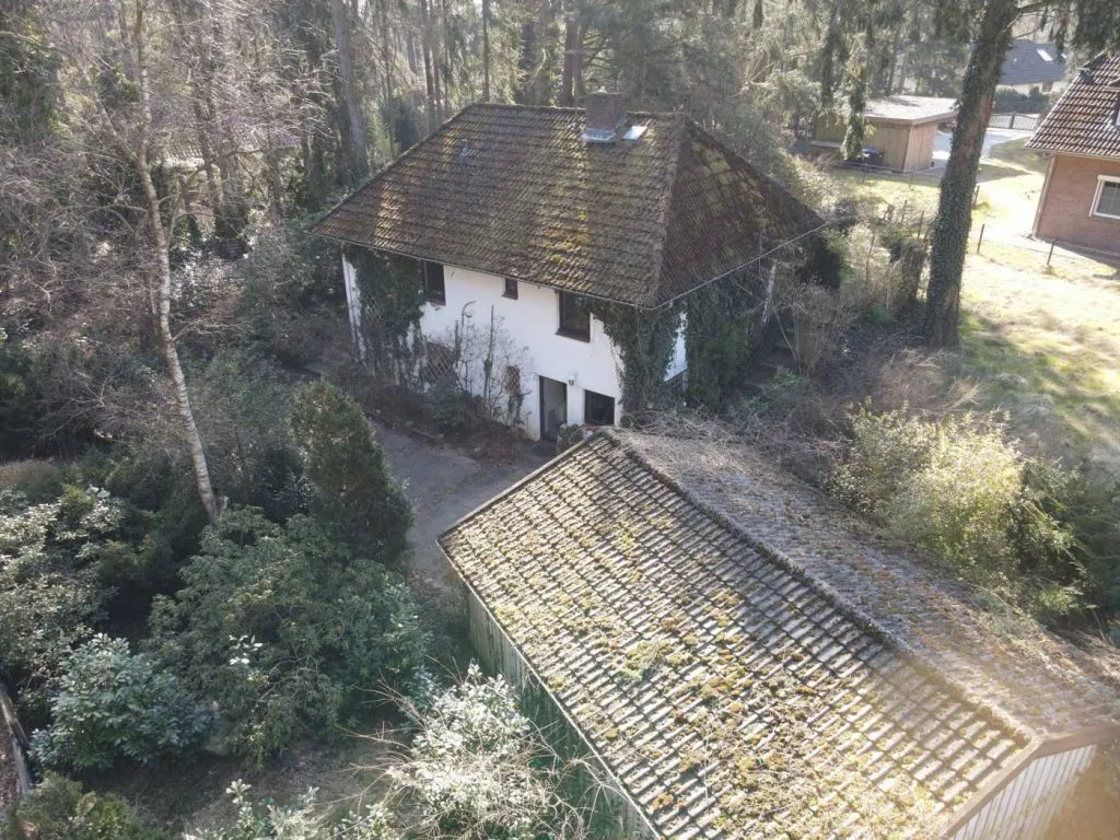 Immobilienangebot - Bendestorf - Grundstücke - Bendestorf, Waldrand - wunderschön gelegenes Grundstück mit Altsubstanz