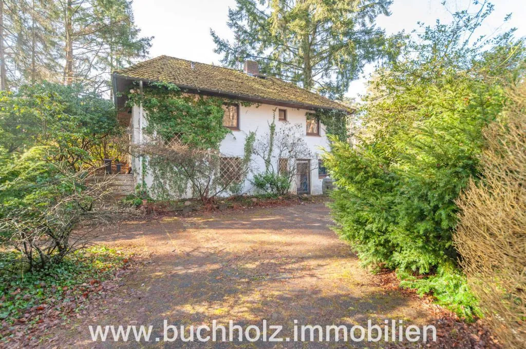 Immobilienangebot - Bendestorf - Grundstücke - Bendestorf, Waldrand - wunderschön gelegenes Grundstück mit Altsubstanz