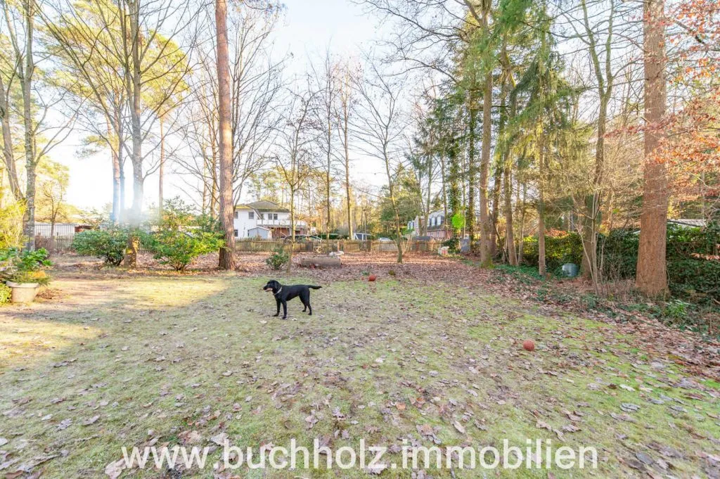 Immobilienangebot - Buchholz - Alle - Holm-Seppensen - zentrumsnahe und solide Kapitalanlage mit tollen Mietern