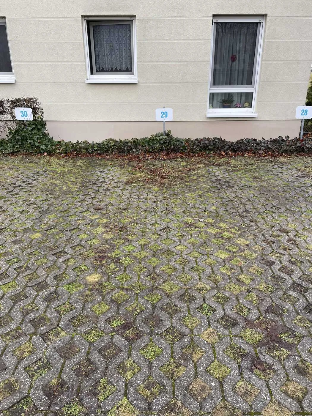 Immobilienangebot - Böhlitz Ehrenberg - Alle - Parkplatz in Böhlitz Ehrenberg, Buchener Straße 24 zu vermieten
