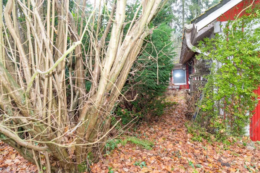 Immobilienangebot - Buchholz in der Nordheide - Grundstücke - Holm Seppensen - Grundstück mit Altbestand zur Neubebauung